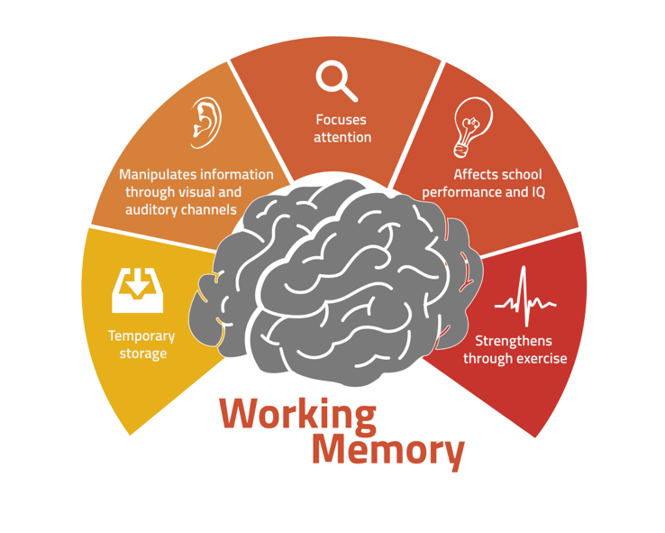 Types Of Memory Brainfit Studio