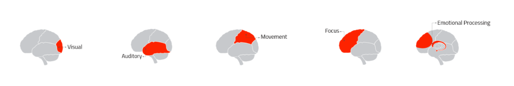 BrainFit® CognitiveMAP